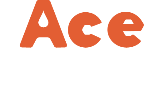 Ace Mold Logo