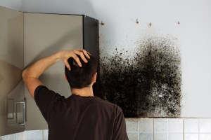 Mold Removal Cost